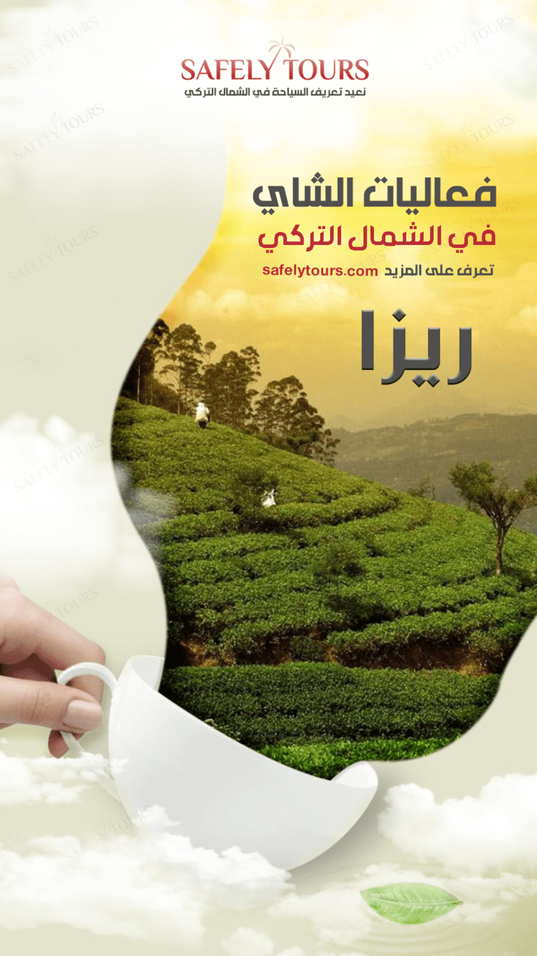 سيارة مع سائق | فعاليات الشاي في ريزا 6 46546546
